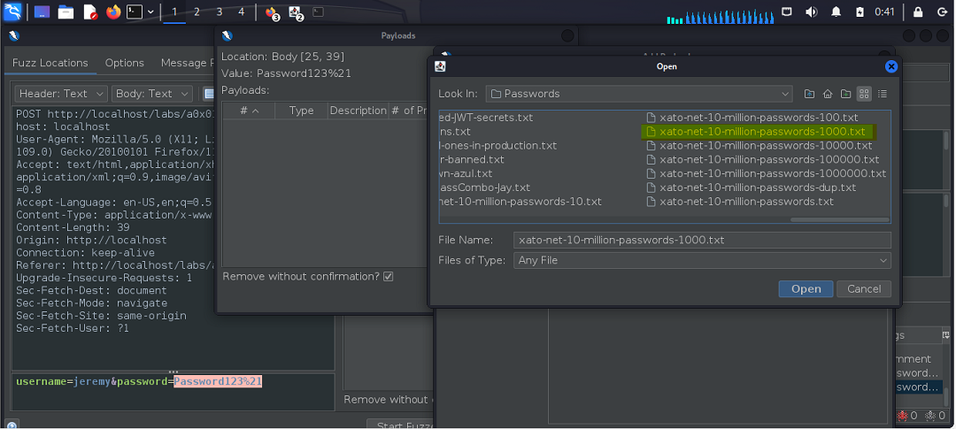auth01_fuzzing_passwordList