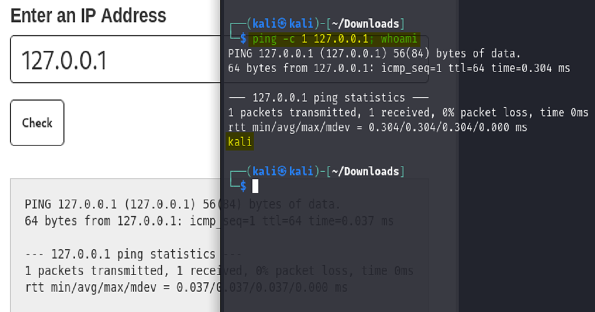 expected_behavior_console